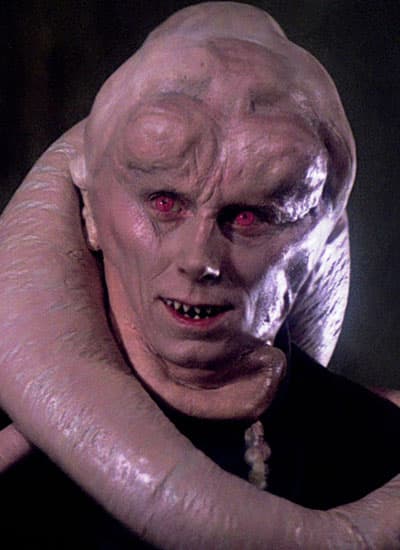 Bib Fortuna