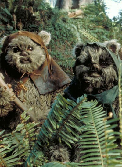 Ewok